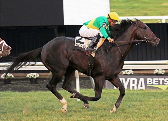 Apollo Ten gets his first stakes win in the 2024 My Frenchman S. at Monmouth Park - Bill Denver/Equi-photo