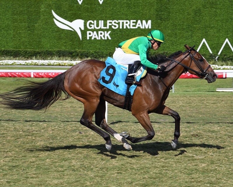 Ozara strides to victory in the 2025 Monroe S. at Gulfstream Park - Lauren King